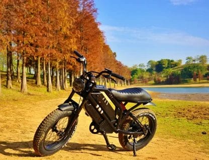 raev bullet gt electric bike