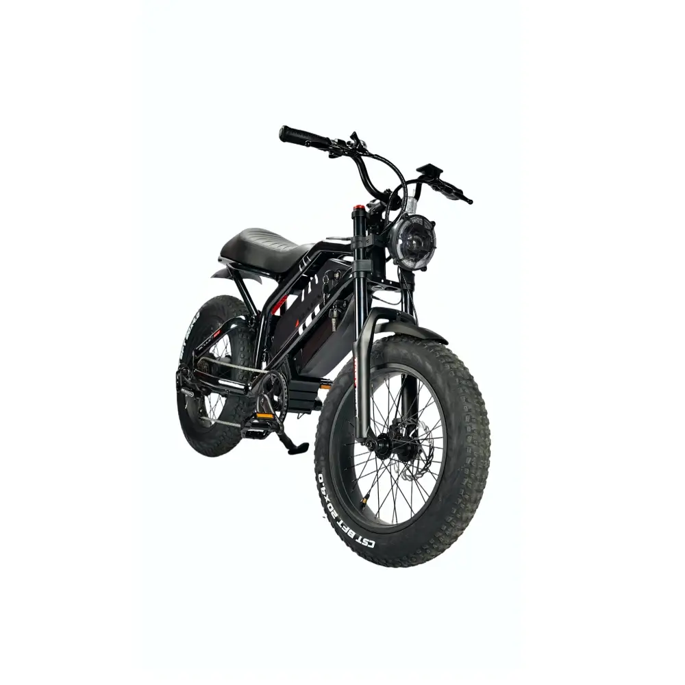 Gt fat tire bike online